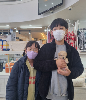 말티푸 분양후기 [23.11.19]