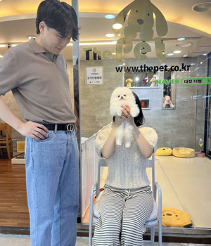 포메라니안 분양후기 [23.09.18]