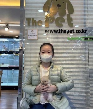 포메라니안 분양후기 [23.01.01]