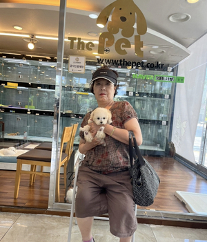 푸들 분양후기 [23.08.08]