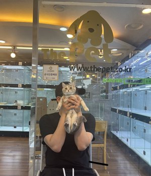 브리티쉬숏헤어 분양후기 [23.07.10]