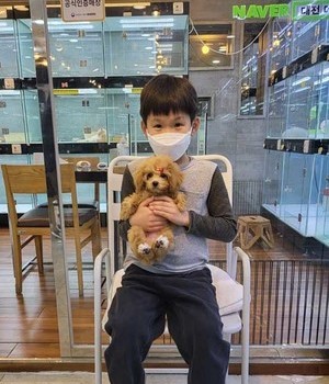 푸들 분양후기 [23.03.26]