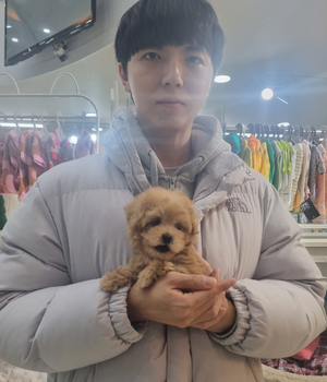 말티푸 분양후기 [23.11.11]