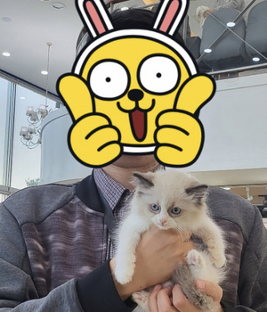 랙돌 분양후기[23.10.16]