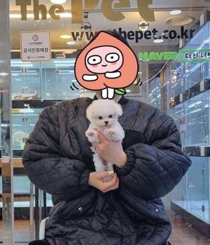 비숑프리제 분양후기 [23.02.25]