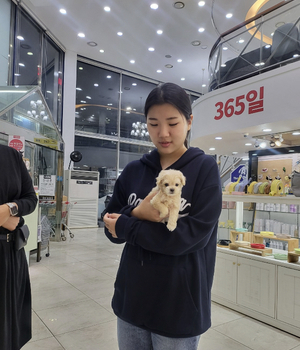 말티푸 분양후기 [23.10.06]