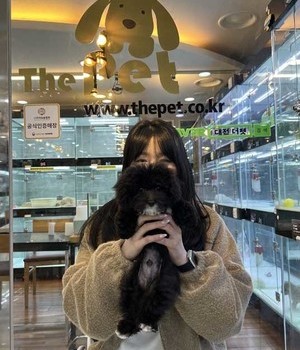 말티푸 분양후기 [23.03.12]