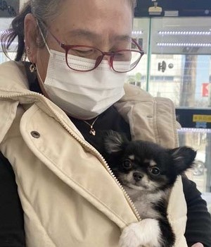 치와와 분양후기 [23.02.23]
