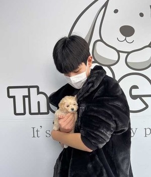 푸들 분양후기/중리점 [23.01.08]