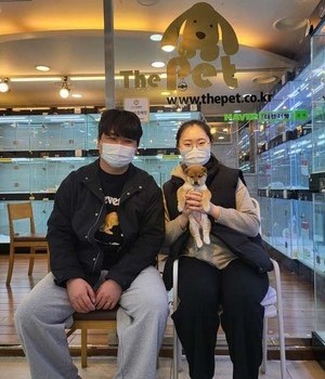 시바이누 분양후기 [23.03.12]