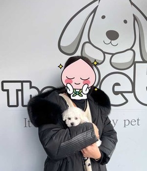 비숑프리제 분양후기/중리점 [23.01.29]