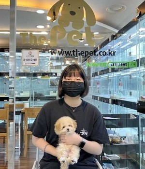 말티푸 분양후기 [23.02.15]