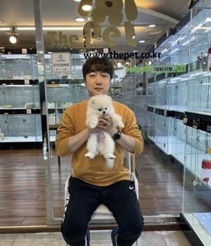 포메라니안 분양후기 [23.04.23]