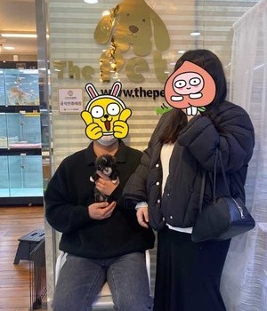 푸들 분양후기 [23.01.08]
