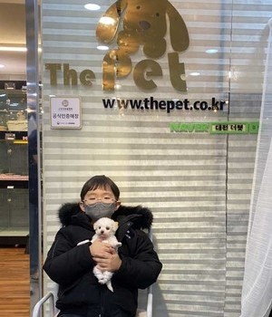 비숑프리제 분양후기 [22.12.31]
