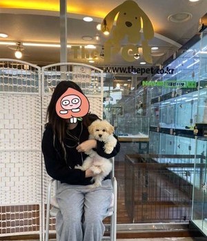 말티푸 분양후기[23.05.24]