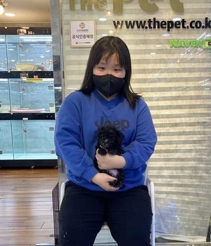 푸들 분양후기 [23.01.18]