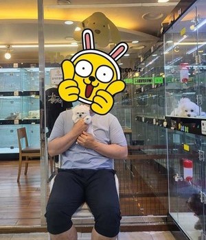 말티즈 분양후기[23.05.25]