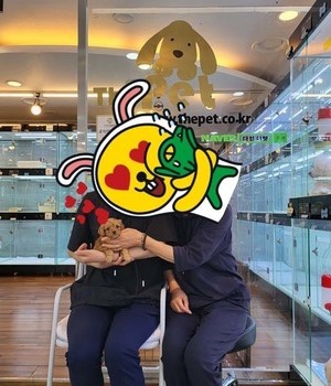 카바푸 분양후기[23.05.21]