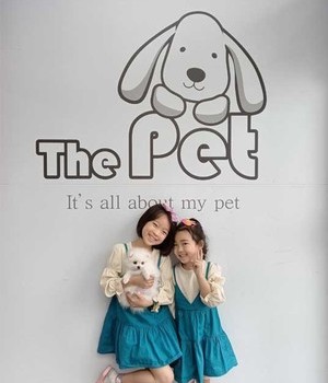 포메라니안 분양후기/중리점[23.05.24]