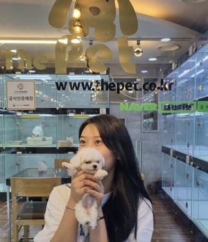 비숑프리제 분양후기 [23.07.11]