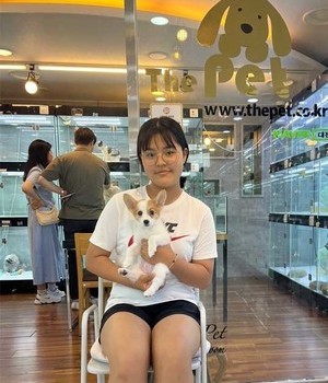 웰시코기 분양후기 [23.05.28]