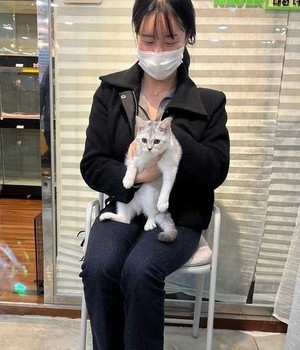브리티쉬 분양후기 [23.01.18]