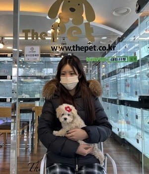 푸들 분양후기 [23.02.15]