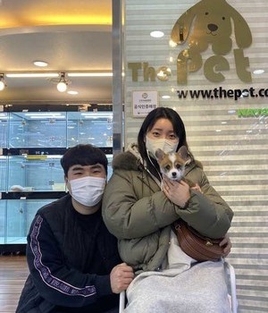 웰시코기 분양후기 [23.01.25]