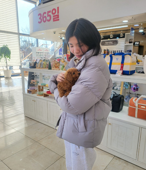 푸들 분양후기 [23.11.25]