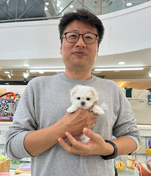 말티즈 분양후기 [23.11.05]