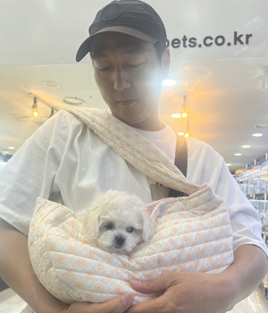 비숑프리제 분양후기 [23.07.01]