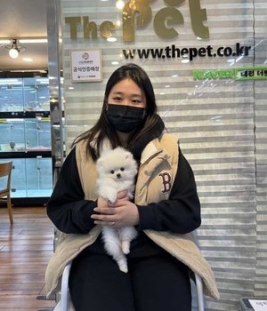 포메라니안 분양후기 [23.01.01]