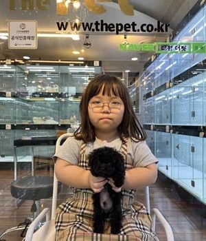 푸들 분양후기 [23.07.16]