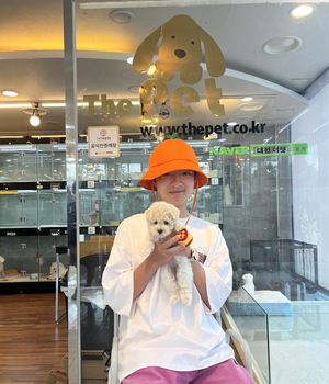 푸들 분양후기 [23.08.04]