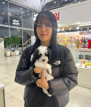 푸들 분양후기 [23.12.07]