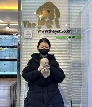 말티푸 분양후기 [23.01.13]