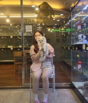 포메라니안 분양후기 [23.06.06]