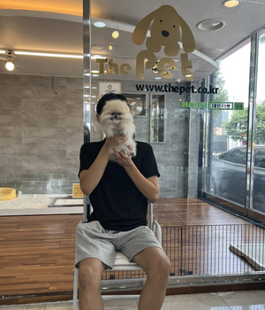 포메라니안 분양후기 [23.08.17]