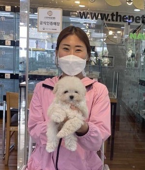 푸들 분양후기 [23.04.12]