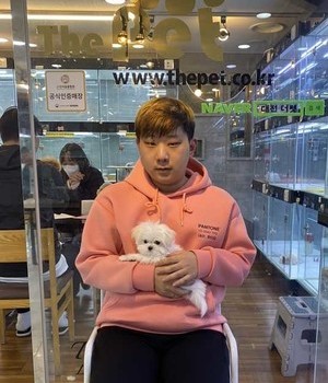 말티즈 분양후기 [23.03.20]