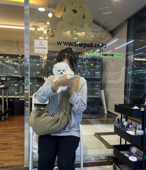 포메라니안 분양후기 [23.08.11]