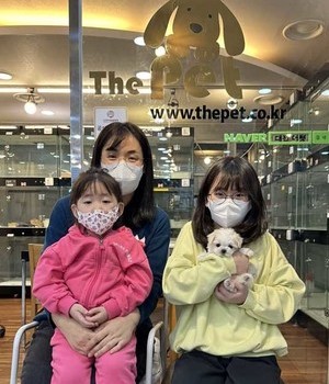 말티즈 분양후기 [23.03.06]