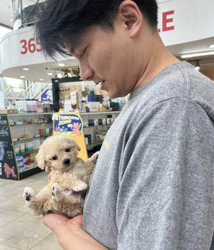 푸숑 분양후기 [23.07.30]