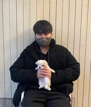 말티즈 분양후기 [23.02.02]
