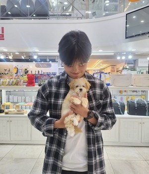 말티푸 분양후기 [23.10.24]
