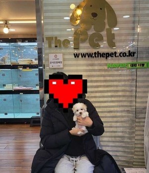 비숑프리제 분양후기 [22.12.31]