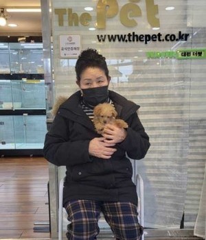 말티푸 분양후기 [23.01.21]