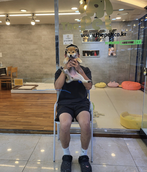 시바이누 분양후기 [23.09.12]