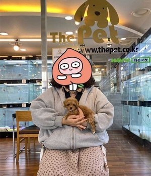 푸들 분양후기 [23.02.15]